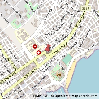 Mappa Via Torre dell'Astrologo,  49, 71043 Manfredonia, Foggia (Puglia)