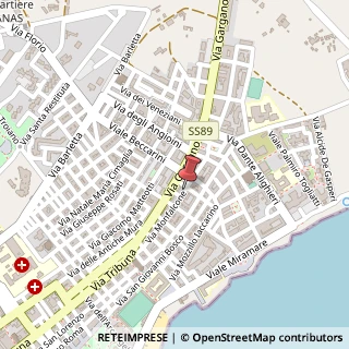 Mappa Via Monfalcone,  83, 71043 Manfredonia, Foggia (Puglia)