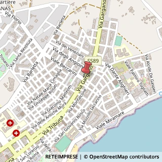Mappa Via Gargano, 102, 71043 Manfredonia, Foggia (Puglia)