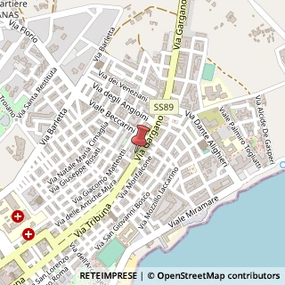 Mappa Via Gargano, 78, 71043 Manfredonia, Foggia (Puglia)