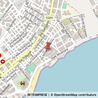 Mappa Via Mozz. Iaccarino, 56, 71043 Manfredonia, Foggia (Puglia)