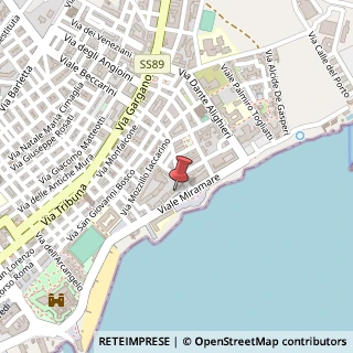 Mappa Viale Miramare, 41, 71043 Manfredonia, Foggia (Puglia)
