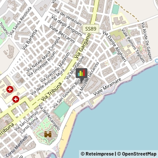 Consulenza Informatica Manfredonia,71043Foggia