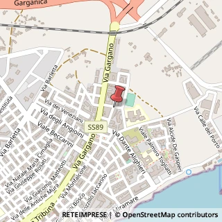 Mappa Via Massimo D'Azeglio, 16, 71043 Manfredonia, Foggia (Puglia)