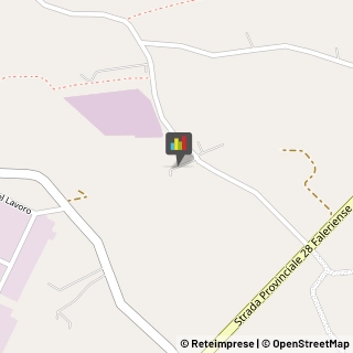 Vivai Piante e Fiori Monte Urano,63813Fermo