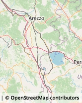 Agenzie di Animazione e Spettacolo Città della Pieve,06062Perugia