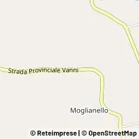 Map Mogliano
