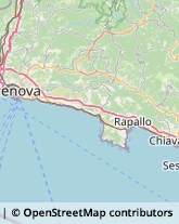 Asili Nido Genova,16166Genova