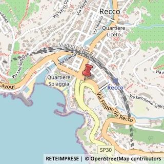 Mappa Via Biagio Assereto, 48, 16036 Recco, Genova (Liguria)
