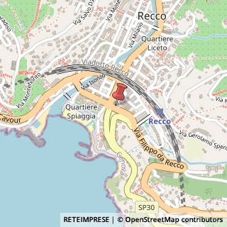 Mappa Via Biagio Assereto, 51, 16036 Recco, Genova (Liguria)