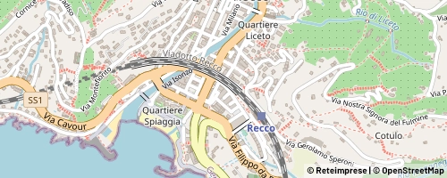 Mappa Recco
