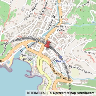 Mappa Piazza San Giovanni Bono, 35, 16036 Recco, Genova (Liguria)