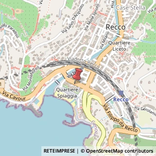 Mappa Via Biagio Assereto, 26, 16036 Recco, Genova (Liguria)