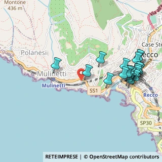 Mappa Viale Privato Fiorito, 16036 Recco GE, Italia (0.5915)