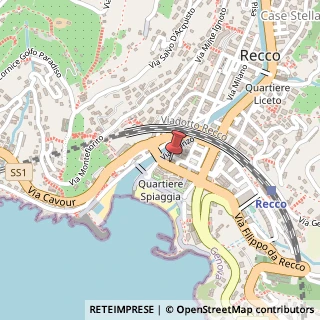 Mappa Via Biagio Assereto, 5/4, 16036 Recco, Genova (Liguria)