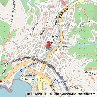 Mappa Via milano 3, 16036 Recco, Genova (Liguria)