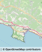 Agriturismi Rapallo,16035Genova