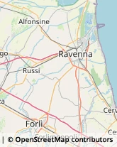 Agenzie di Animazione e Spettacolo Russi,48026Ravenna