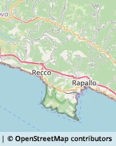 Autofficine e Centri Assistenza Rapallo,16035Genova