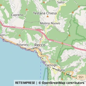 Mappa Recco