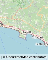 Idraulici e Lattonieri Santa Margherita Ligure,16038Genova