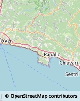 Rosticcerie e Salumerie Genova,16146Genova