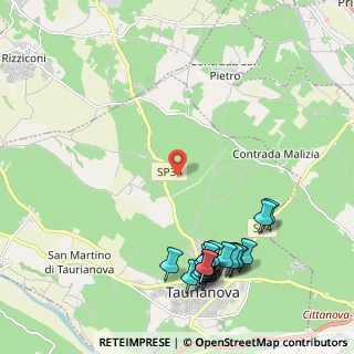 Mappa Contrada Casolaro, 89029 Taurianova RC, Italia (2.973)