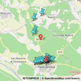 Mappa Contrada Casolaro, 89029 Taurianova RC, Italia (2.662)