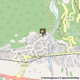 Locali, Birrerie e Pub Grigno,38055Trento