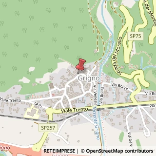 Mappa Via Vittorio Emanuele, 50, 38055 Grigno TN, Italia, 38055 Grigno, Trento (Trentino-Alto Adige)