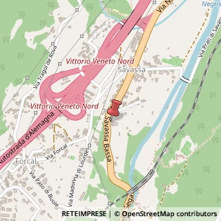 Mappa Via Savassa Bassa, 119, 31029 Vittorio Veneto, Treviso (Veneto)