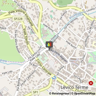 Osterie e Trattorie Levico Terme,38056Trento