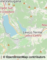 Aziende Agricole Levico Terme,38056Trento