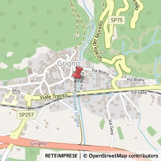 Mappa Via Venezia, 4, 38055 Grigno, Trento (Trentino-Alto Adige)