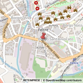 Mappa Viale Monte Grappa, 4/15, 32032 Feltre, Belluno (Veneto)