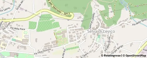 Mappa Levico Terme