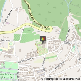 Case di Riposo e Istituti di Ricovero per Anziani Levico Terme,38056Trento