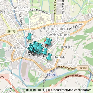 Mappa Piazza vittorio emanuele, 32032 Feltre BL, Italia (0.3105)