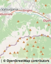 Macellerie Strigno,38059Trento