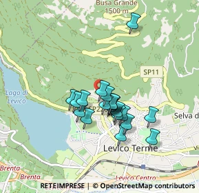 Mappa Salita al Castagneto, 38056 Levico Terme TN, Italia (0.6605)