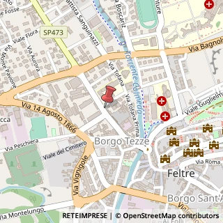 Mappa Viale Giuseppe Mazzini, 104, 32032 Feltre, Belluno (Veneto)