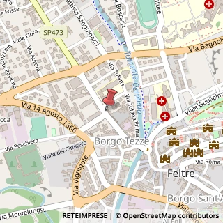 Mappa Viale Giuseppe Mazzini, 10c, 32032 Feltre, Belluno (Veneto)