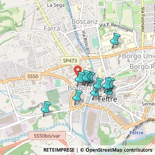 Mappa Viale Giuseppe Mazzini, 32032 Feltre BL, Italia (0.36833)