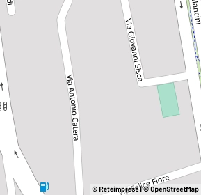 Mappa Via Antonino Catera Giornalista, 87100 Cosenza CS, Italia (0.1)