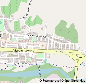 Mappa Via dei Tulipani, 63100 Ascoli Piceno AP, Italia (0.19615)