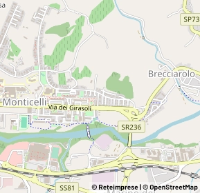 Mappa Via delle Azalee, 63100 Ascoli Piceno AP, Italia (0.23846)
