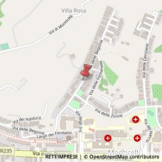Mappa Via delle Begonie,  69, 63100 Ascoli Piceno, Ascoli Piceno (Marche)