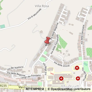 Mappa Via delle Begonie, 90, 63100 Ascoli Piceno, Ascoli Piceno (Marche)