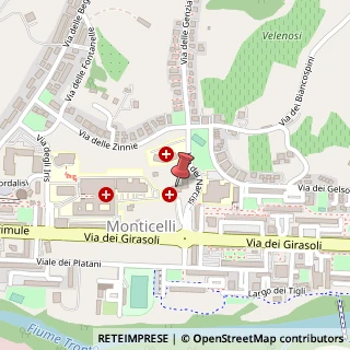 Mappa Via dei Girasoli, 6, 63100 Ascoli Piceno, Ascoli Piceno (Marche)