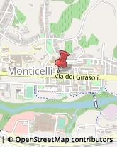 Via dei Girasoli, 12,63032Ascoli Piceno